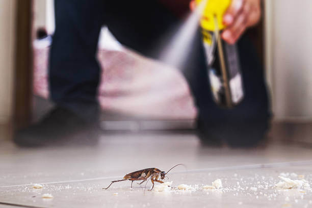 Best Cockroach Control Services  in Nash, TX