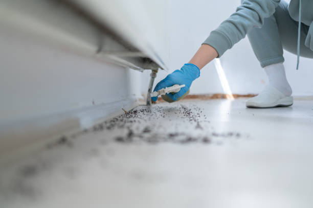 Best Residential Pest Control  in Nash, TX